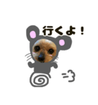 子年の着ぐるみを着たまめた（個別スタンプ：3）
