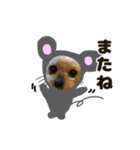 子年の着ぐるみを着たまめた（個別スタンプ：24）