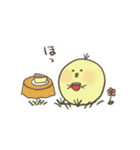ひよこのダルビッシュの日常3（個別スタンプ：9）