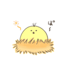 ひよこのダルビッシュの日常3（個別スタンプ：21）