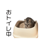 ぷーしゃんスタンぷー（個別スタンプ：24）