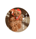 こはるの家族会話（個別スタンプ：7）