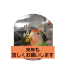 kawafamily13（個別スタンプ：3）