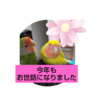 kawafamily13（個別スタンプ：4）