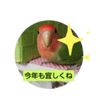 kawafamily13（個別スタンプ：6）