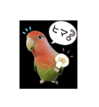 kawafamily13（個別スタンプ：8）