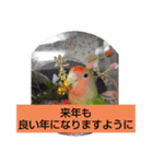 kawafamily13（個別スタンプ：10）