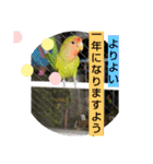 kawafamily13（個別スタンプ：11）