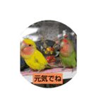kawafamily13（個別スタンプ：12）
