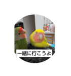 kawafamily13（個別スタンプ：13）