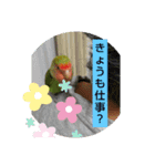 kawafamily13（個別スタンプ：14）
