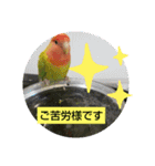 kawafamily13（個別スタンプ：15）