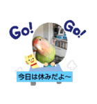 kawafamily13（個別スタンプ：16）