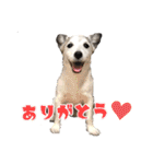 ダンディ文化君の毎日（個別スタンプ：5）