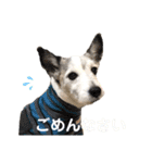 ダンディ文化君の毎日（個別スタンプ：10）