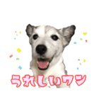 ダンディ文化君の毎日（個別スタンプ：12）