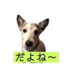 ダンディ文化君の毎日（個別スタンプ：18）