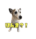 ダンディ文化君の毎日（個別スタンプ：19）