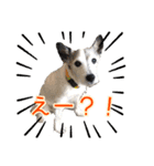 ダンディ文化君の毎日（個別スタンプ：21）