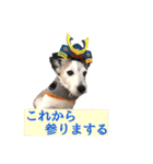 ダンディ文化君の毎日（個別スタンプ：26）