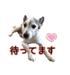 ダンディ文化君の毎日（個別スタンプ：28）