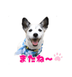 ダンディ文化君の毎日（個別スタンプ：31）