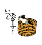 2020江戸の猫ちゃん冬の挨拶（個別スタンプ：15）