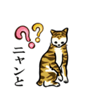 2020江戸の猫ちゃん冬の挨拶（個別スタンプ：30）