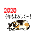 2020江戸の猫ちゃん冬の挨拶（個別スタンプ：39）