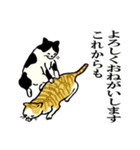 2020江戸の猫ちゃん冬の挨拶（個別スタンプ：40）