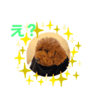 トイ・プードル(moco)（個別スタンプ：6）