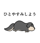 リラックスフンド（個別スタンプ：11）