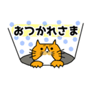 トラチャねこお（個別スタンプ：5）