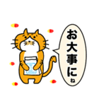 トラチャねこお（個別スタンプ：31）