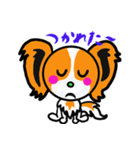 甘えん坊パピヨン犬リロ（個別スタンプ：13）