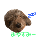日常ドンコ（個別スタンプ：8）
