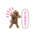 日常ドンコ（個別スタンプ：14）