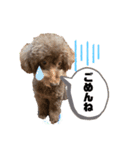日常ドンコ（個別スタンプ：15）