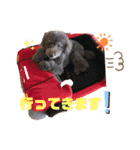 日常ドンコ（個別スタンプ：16）