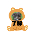 日常ドンコ（個別スタンプ：21）