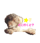 日常ドンコ（個別スタンプ：22）