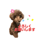 日常ドンコ（個別スタンプ：23）