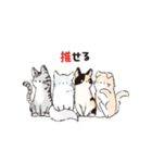 連番するねこここ（個別スタンプ：5）