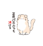 連番するねこここ（個別スタンプ：7）