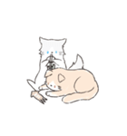 連番するねこここ（個別スタンプ：11）