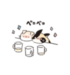 連番するねこここ（個別スタンプ：13）