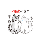 連番するねこここ（個別スタンプ：15）