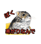 動物画スタンプ（個別スタンプ：7）