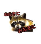 動物画スタンプ（個別スタンプ：9）