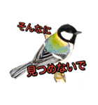 動物画スタンプ（個別スタンプ：14）